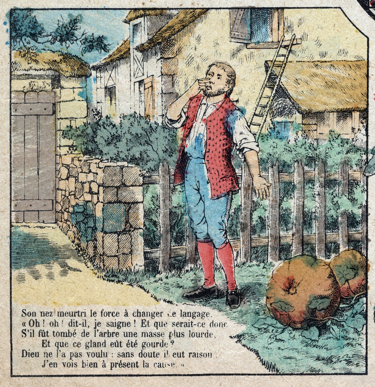 La bellota y la calabaza. Fábulas de Jean de La Fontaine (1621-95). Imagen de Epinal de finales del siglo XIX. de French School