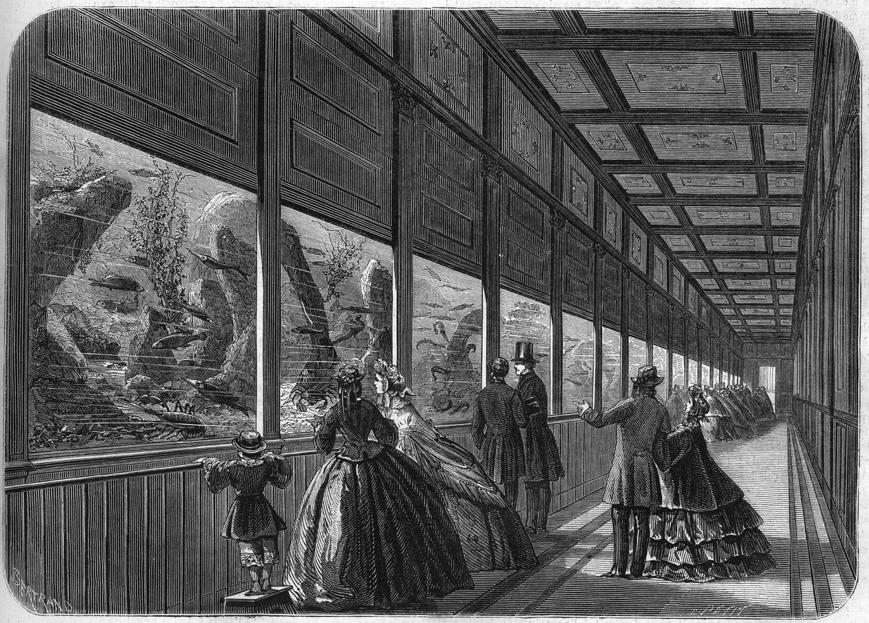 El acuario del jardín de aclimatación de París en 1863. de French School