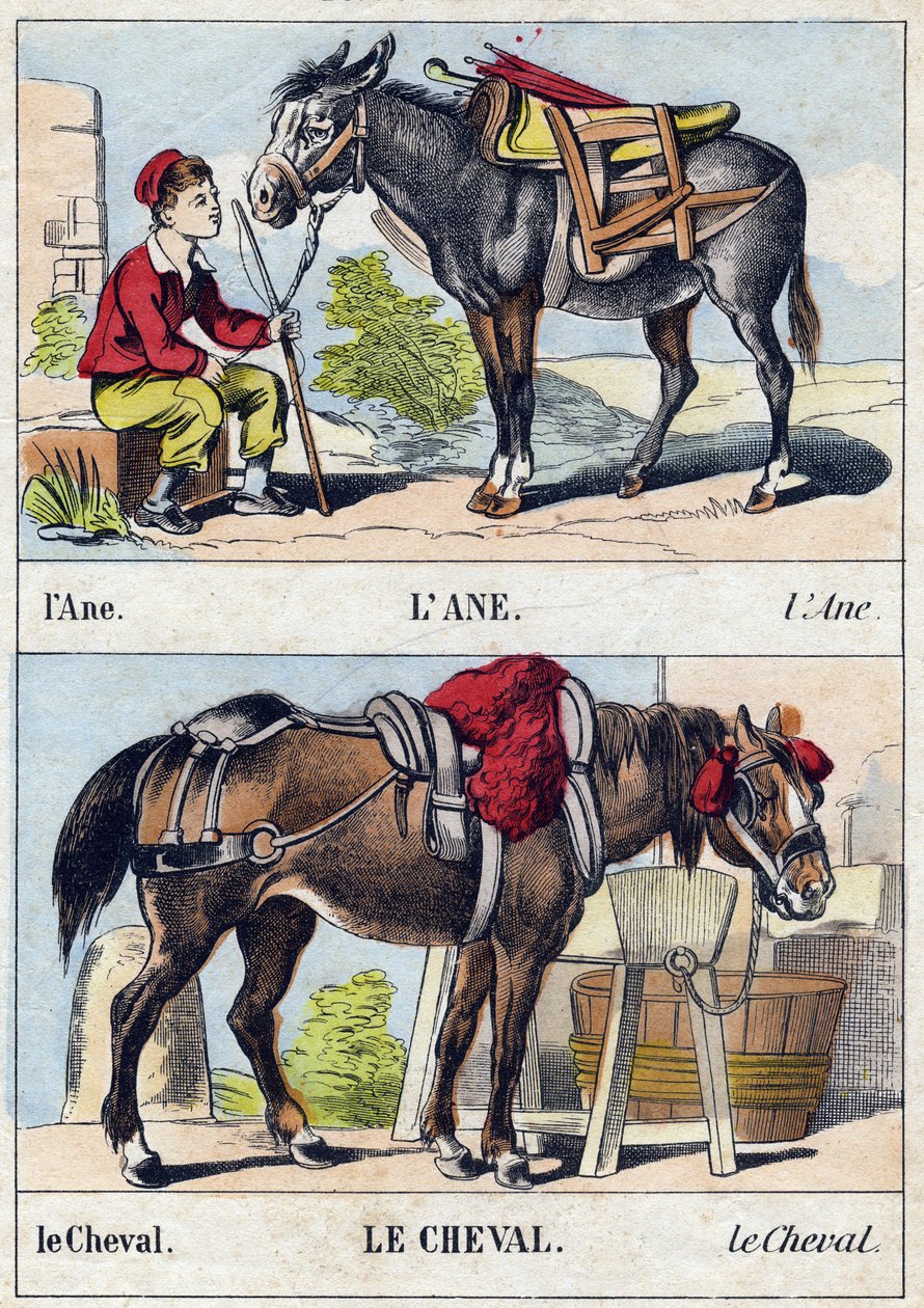 El burro y el caballo. Grabado en "Buffon Alphabet des Animaux". 3ª Serie N 1. Imágenes de Epinal, Epinal, finales del siglo XIX. 16 páginas. de French School