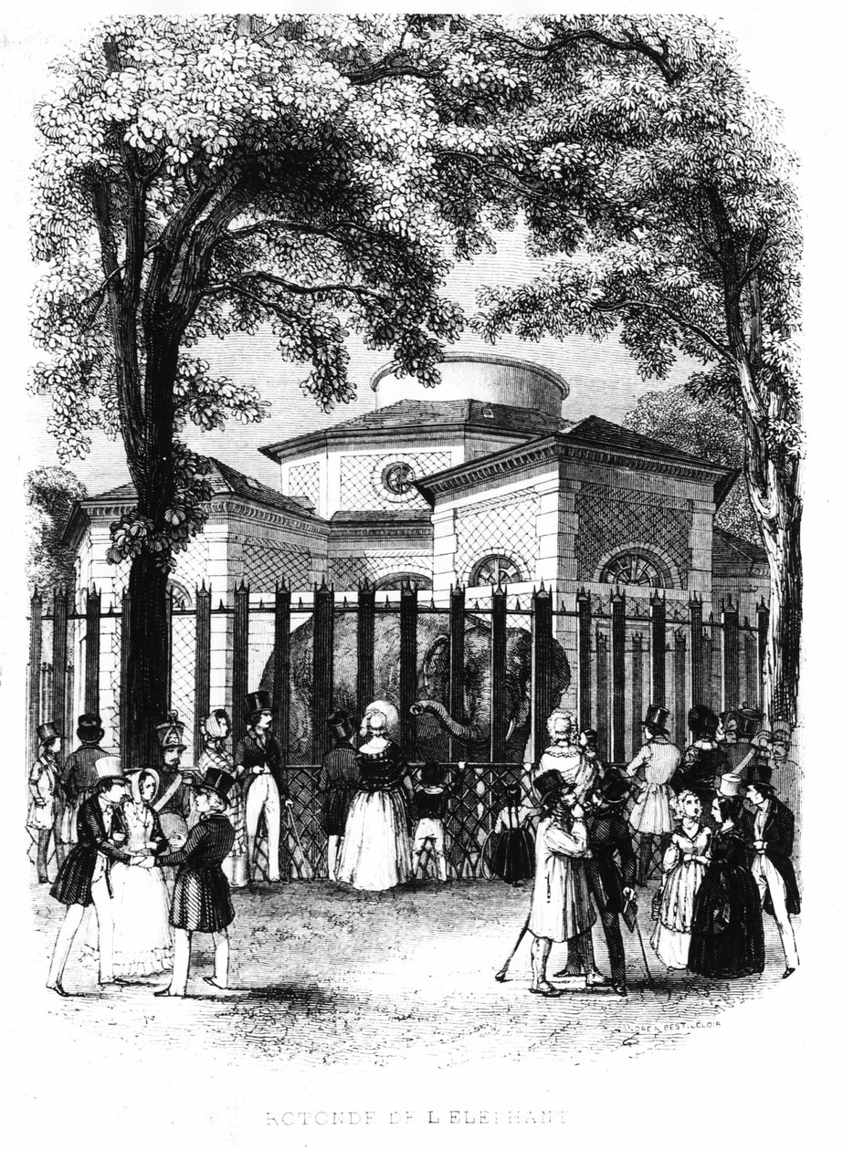 La rotonda del elefante del jardín de plantas en París - grabado de French School