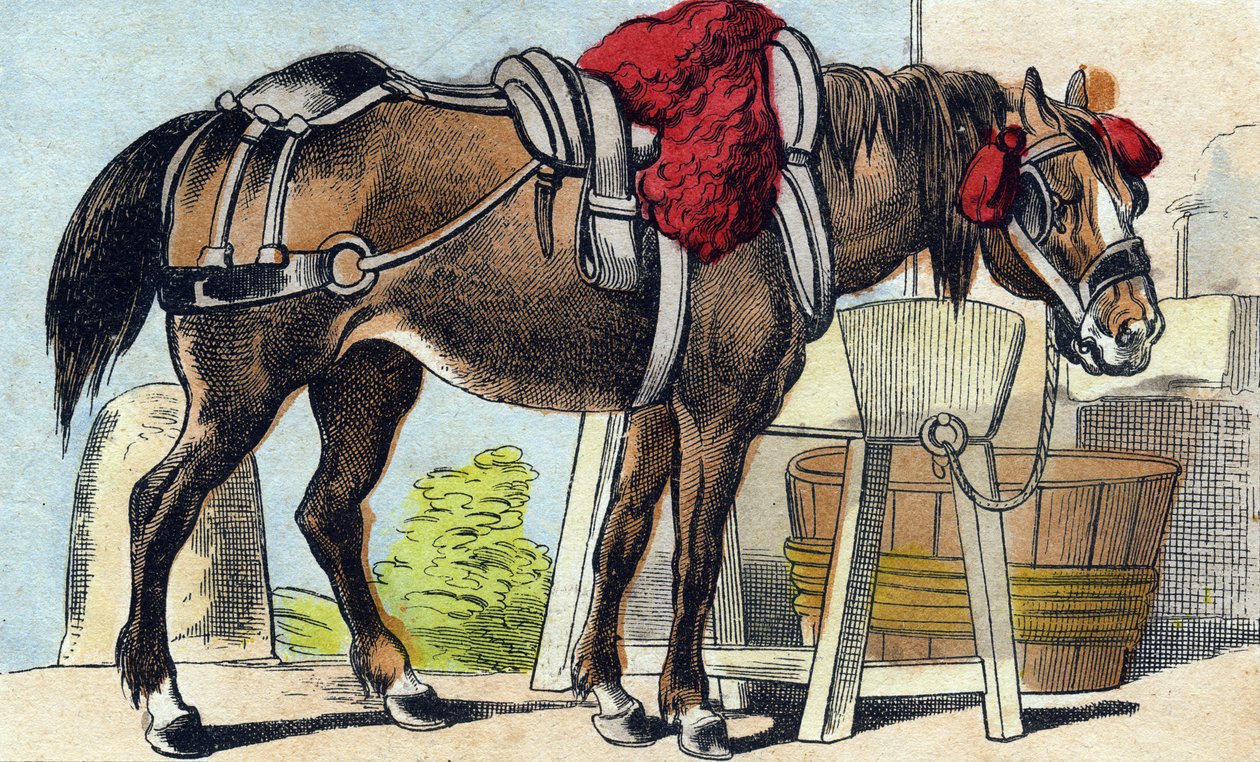 El caballo. Grabado en "Buffon Alphabet des Animaux". 3ª Serie N 1. Imágenes de Epinal, Epinal, finales del siglo XIX. 16 páginas. de French School