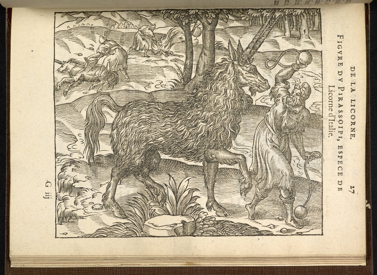 La caza de un unicornio de dos cuernos (un pirassoipi.) de 