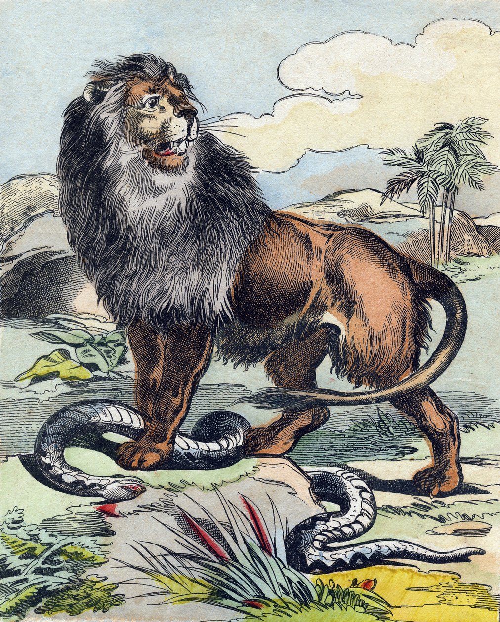 El león. Grabado en "Buffon Alphabet des Animaux". 3ª Serie N 1. Imágenes de Epinal, Epinal, finales del siglo XIX. 16 páginas. de French School