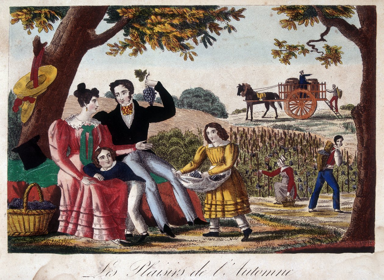Los placeres del otoño: la cosecha de French School