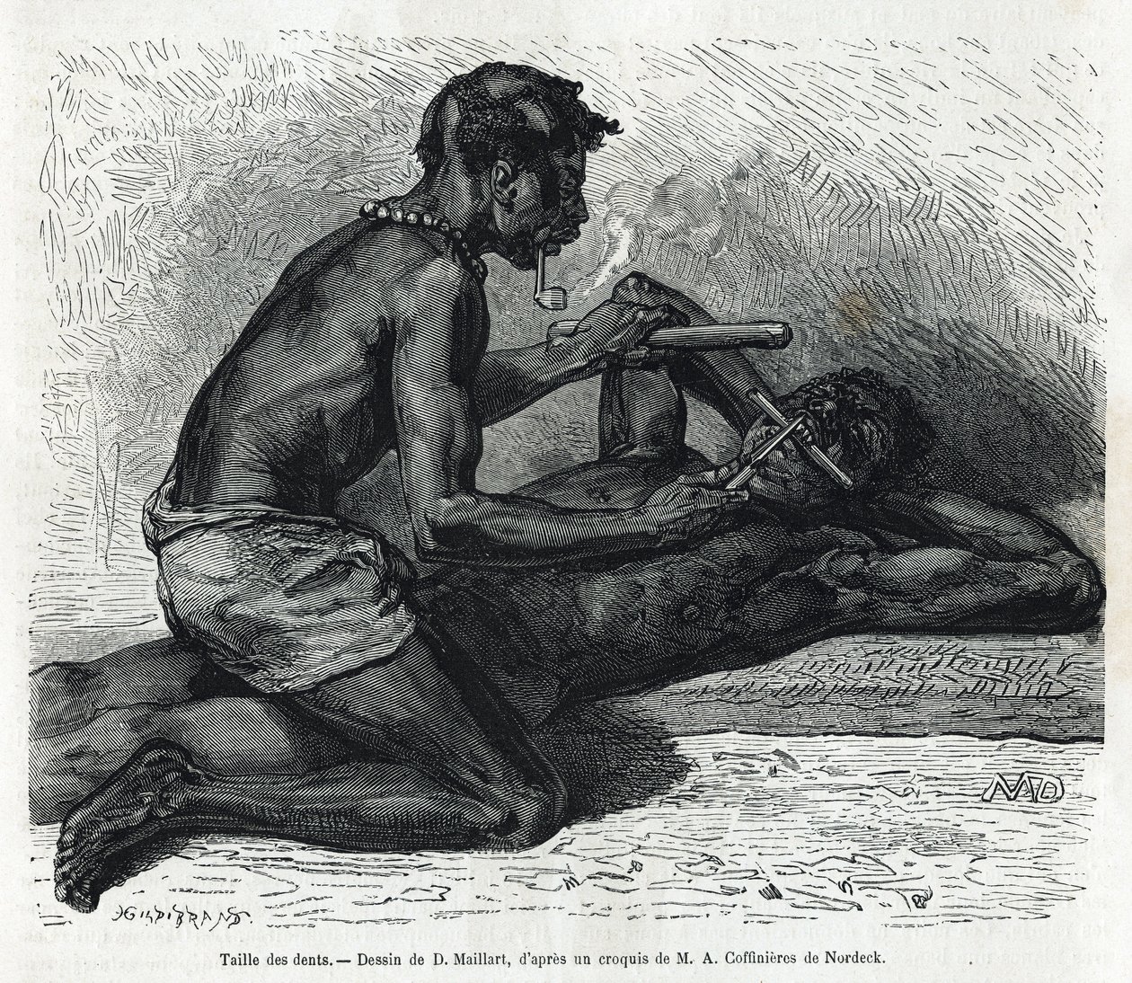 El tamaño de los dientes en el Okanda, dibujo de D. Maillard, para ilustrar la historia de un viaje a Gabón y el río Ogoue en 1875-1877, por Alfred Marche. Grabado en Le tour du monde de French School
