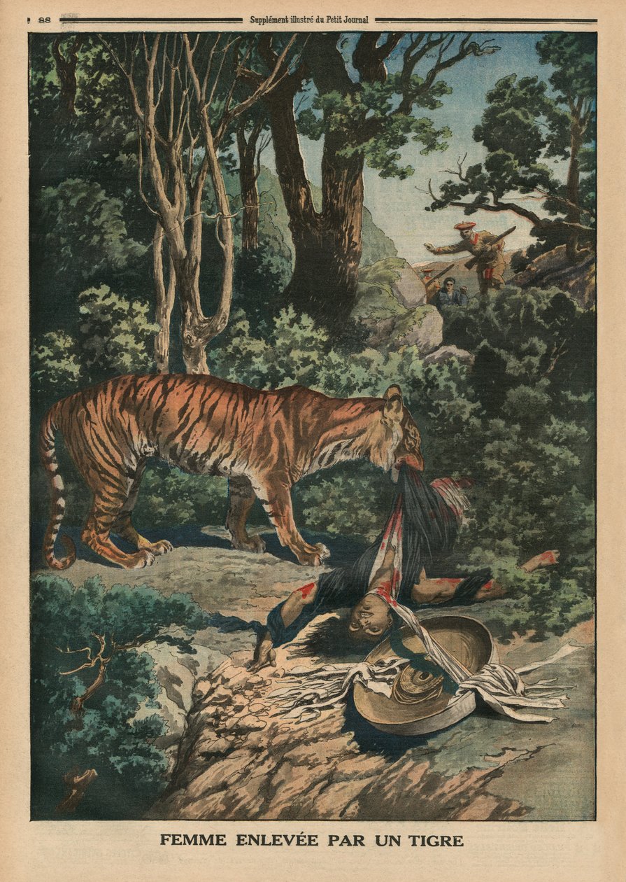 Tigre atacando a una mujer, ilustración de la contraportada de 