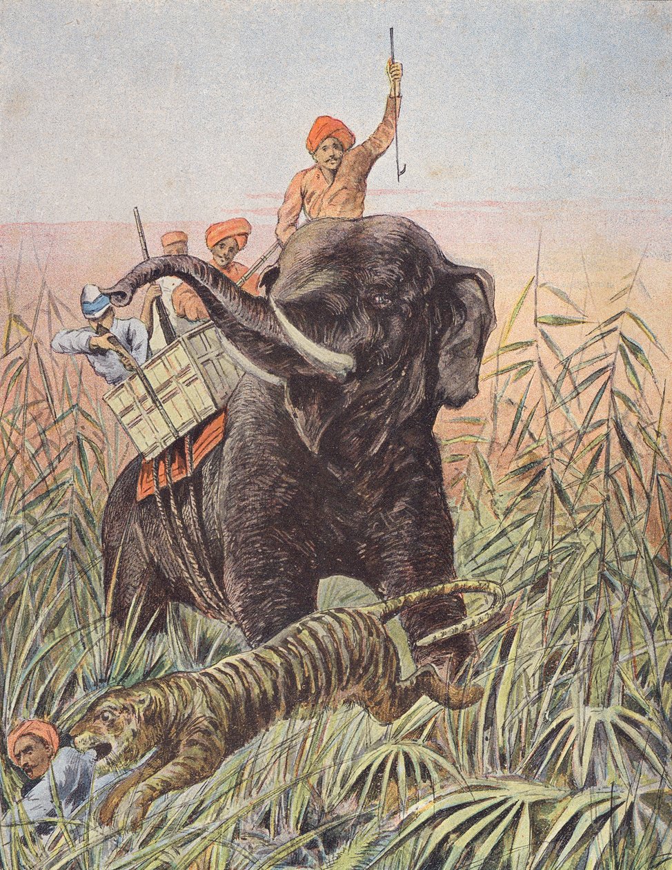 Caza del tigre, India (litografía en color) de French School