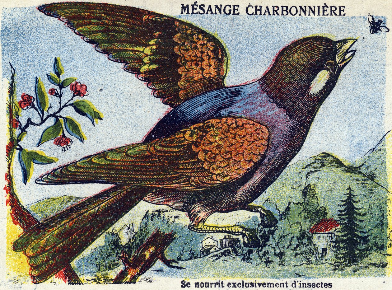 Imagen desconocida de French School
