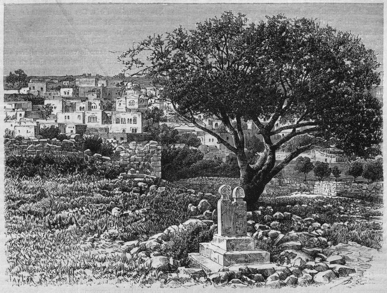 Vista de Safed, de La Syrie daujourdhui. Voyages dans la Phenicie, le Liban et la Judee. 1875-1880 de Louis Charles Emile Lortet, 1884 de French School
