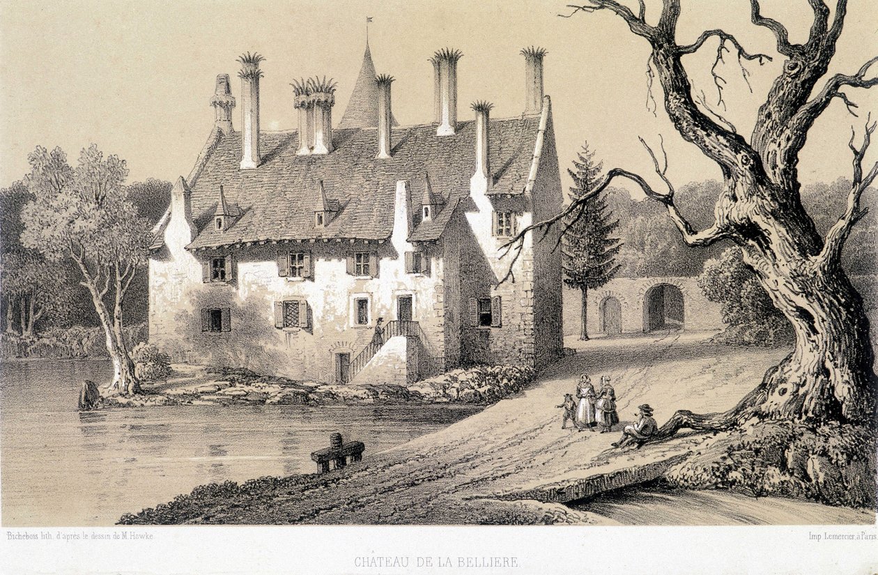 Vista del Chateau de la Belliere (Cote d