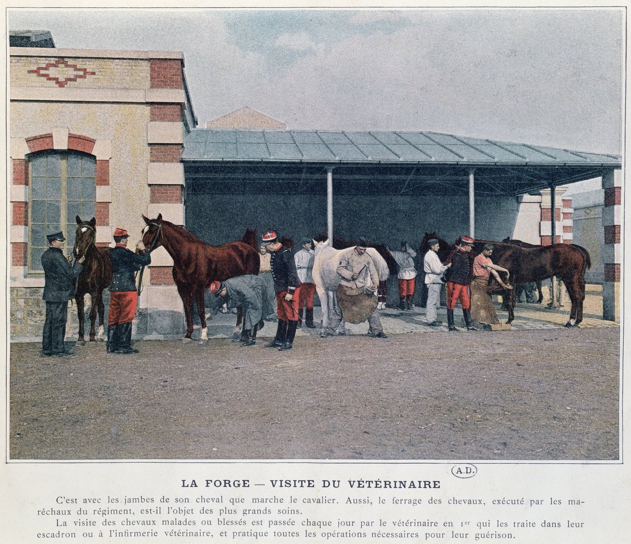 Visita del veterinario del ejército al cuartel, 1897 de French School