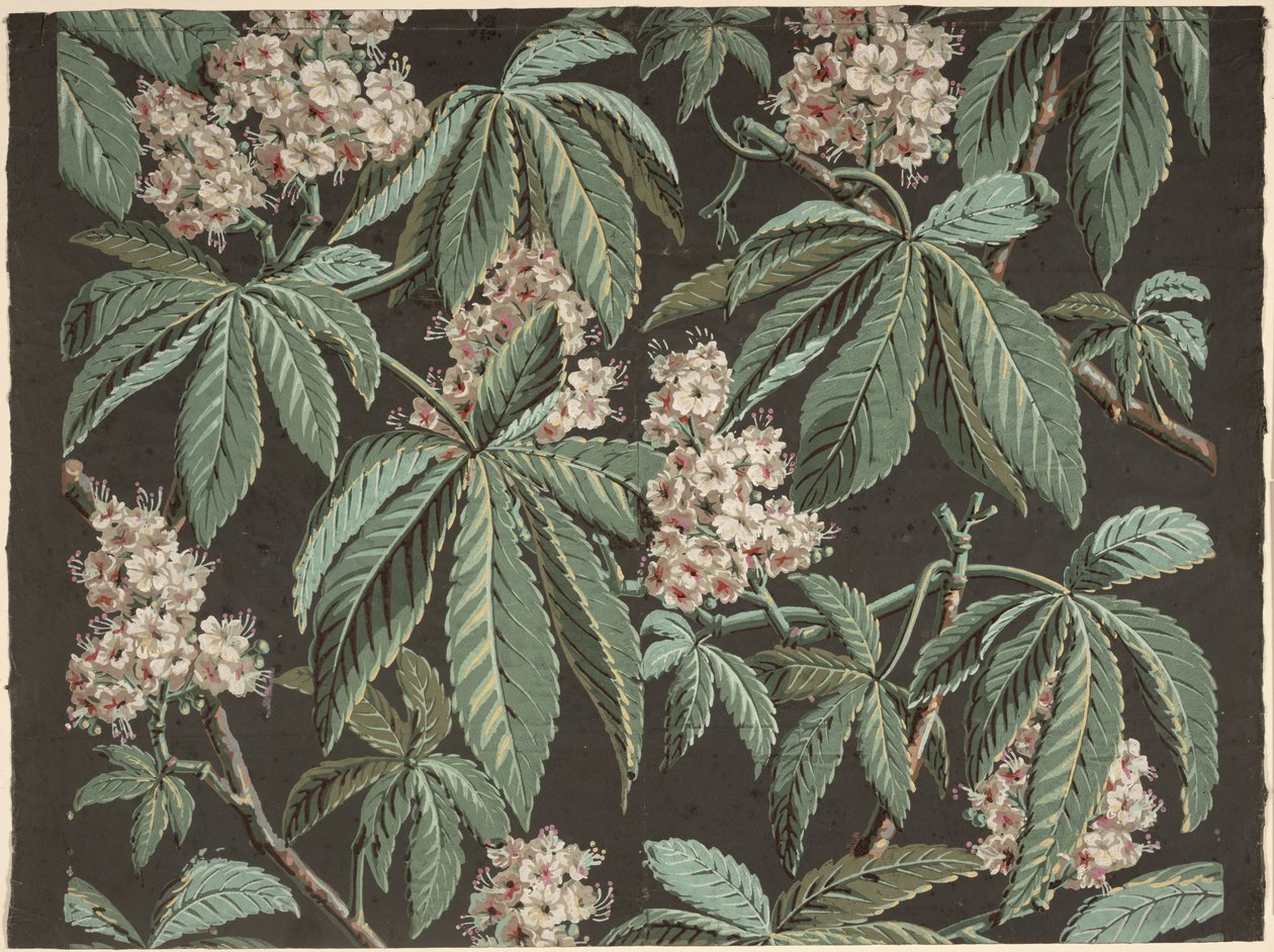 Diseño de papel tapiz con rama de castaño (detalle) de French School