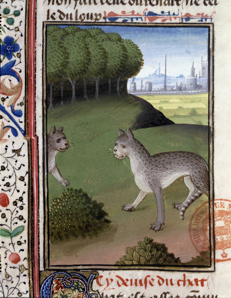 Gatos salvajes - en "Libro de Caza de Gaston Phoebus, Conde de Foix, Señor de Béarn" de French School