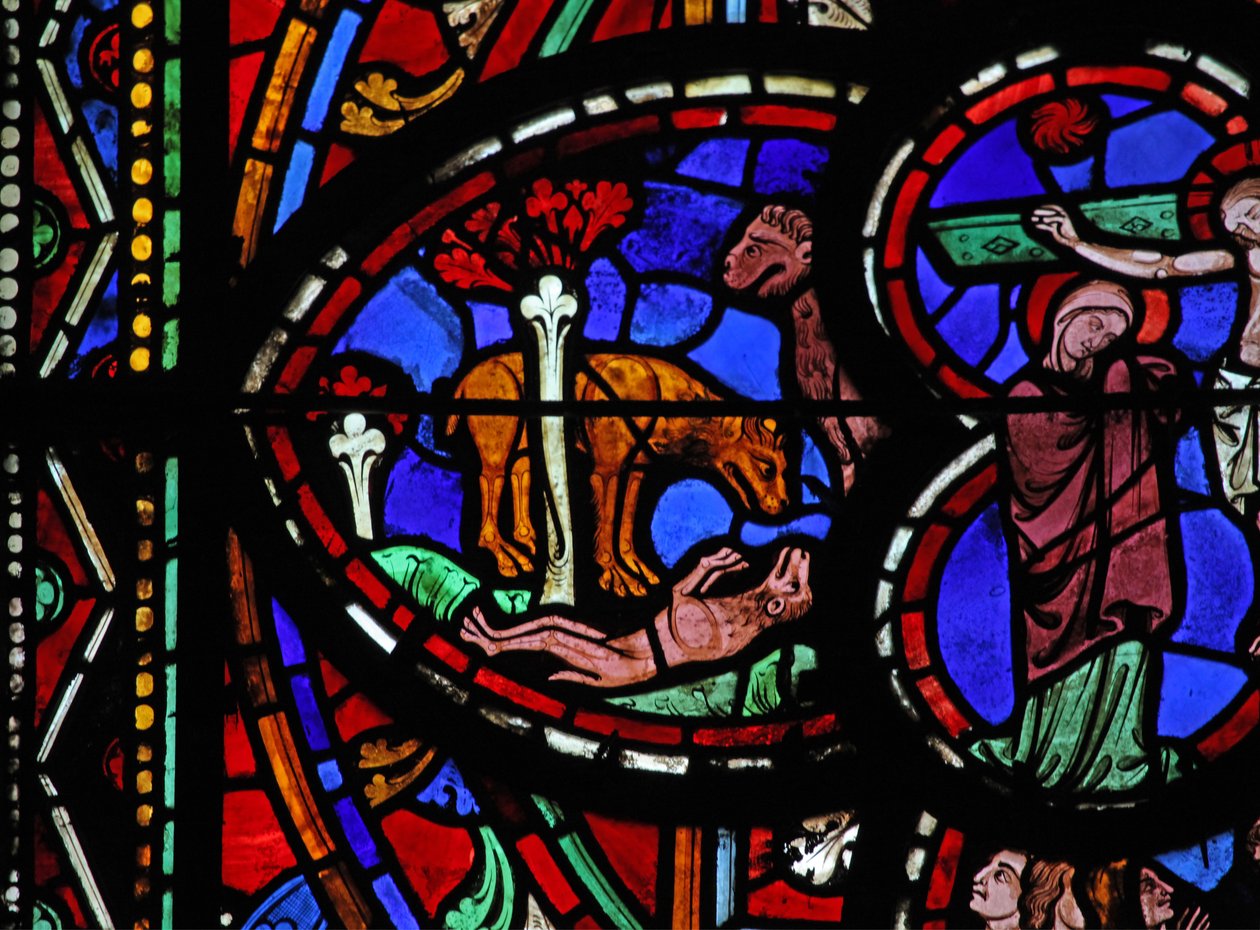 Ventana w0 que representa un león reviviendo a sus crías de French School
