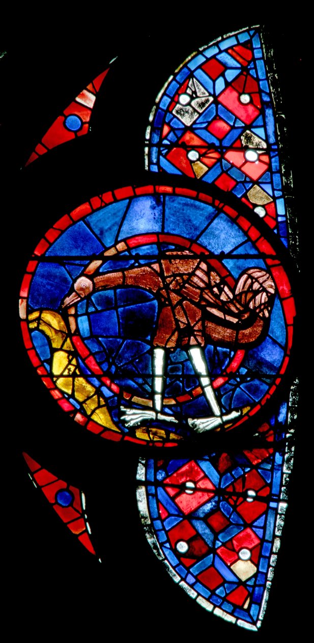 Ventana w115 que representa la Creación de las aves - un pájaro inusual de French School