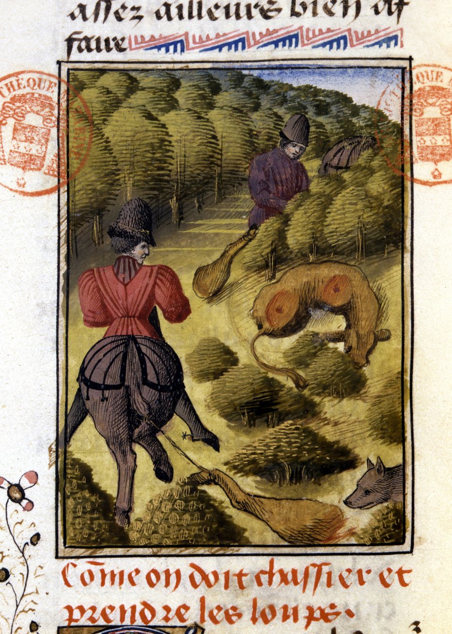 Caza de lobos - en "El libro de caza de Gaston Phoebus, Conde de Foix, Señor de Béarn" de French School