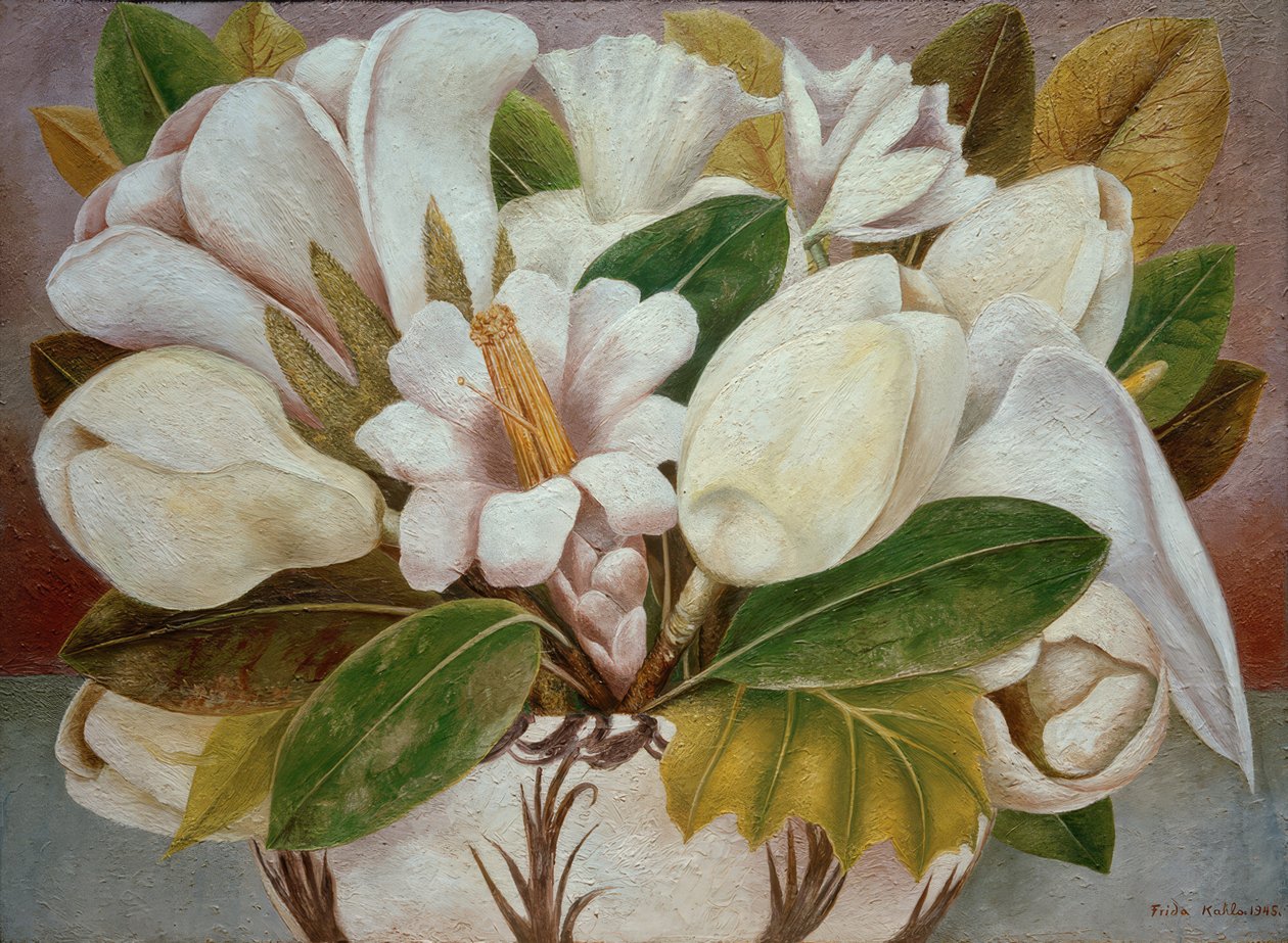 Magnolia de Frida Kahlo