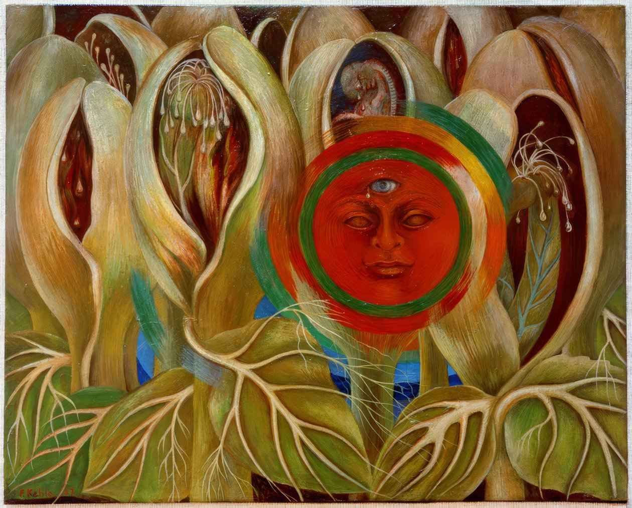 Sol y vida de Frida Kahlo