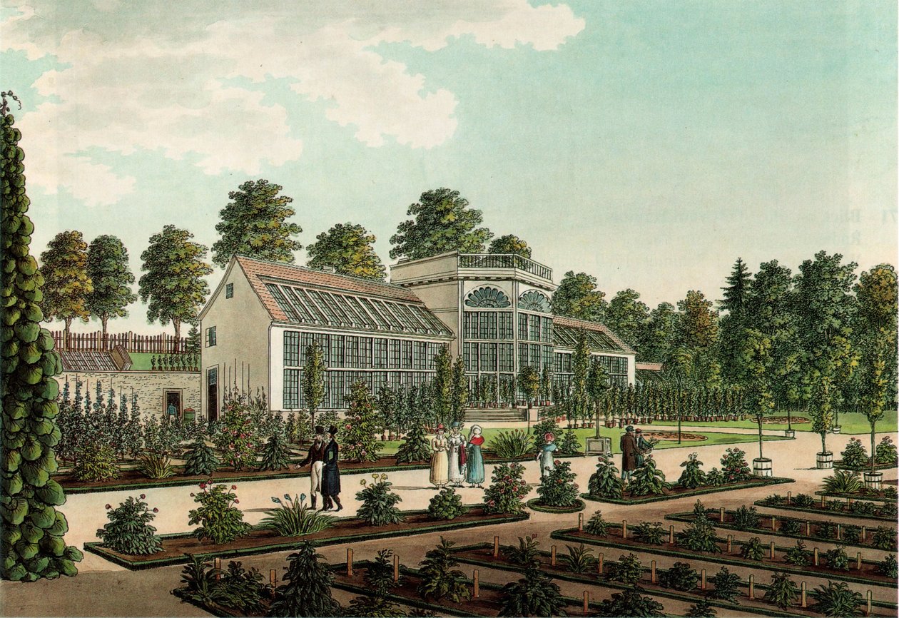 Invernadero en el antiguo jardín botánico de Göttingen, con la muralla de la ciudad al fondo de Friedrich Besemann