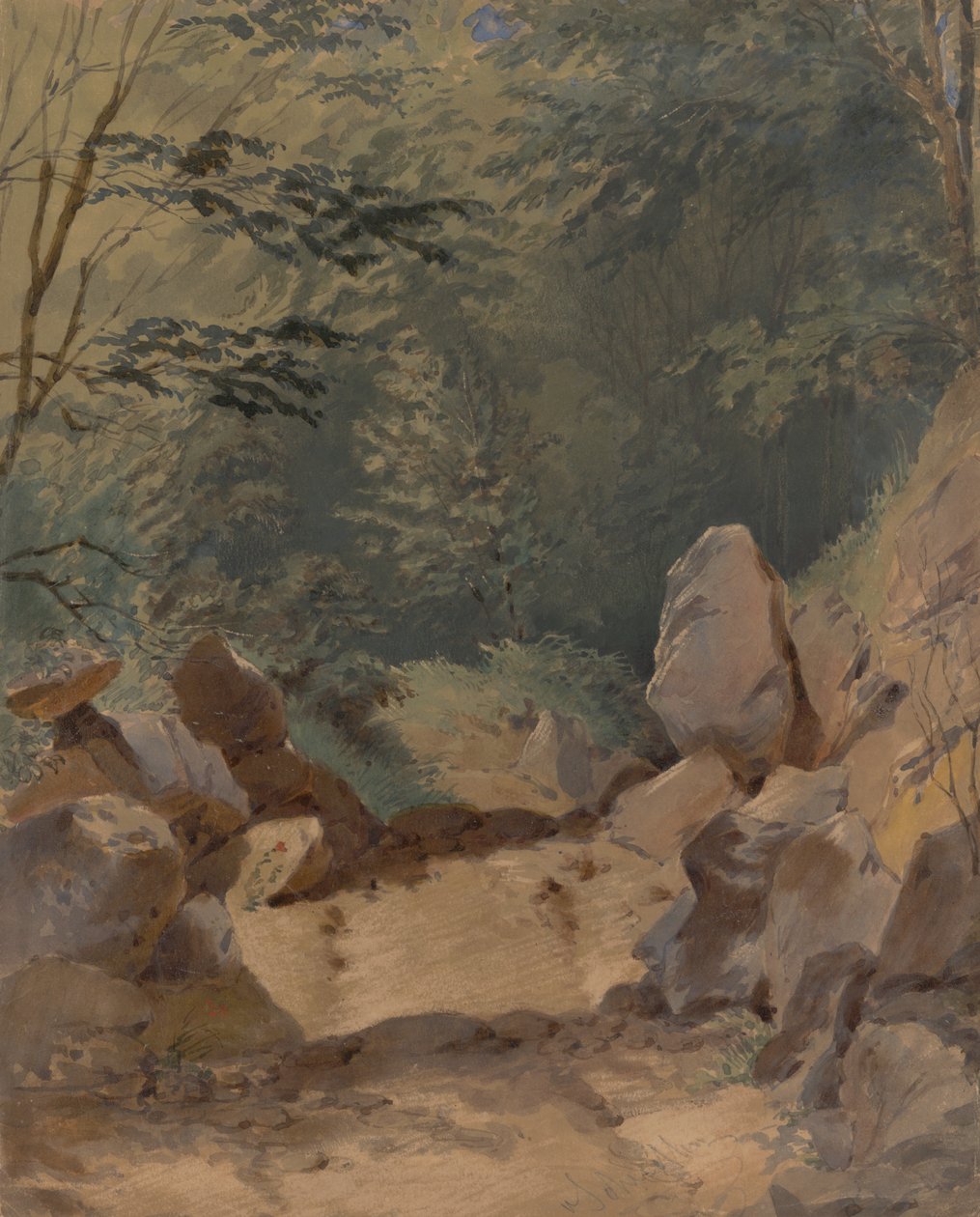 Paisaje forestal con rocas de Friedrich Carl von Scheidlin