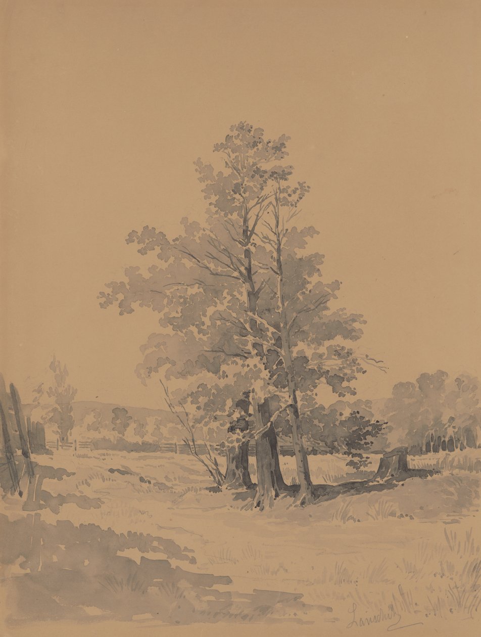 Árboles al borde del bosque de Friedrich Carl von Scheidlin