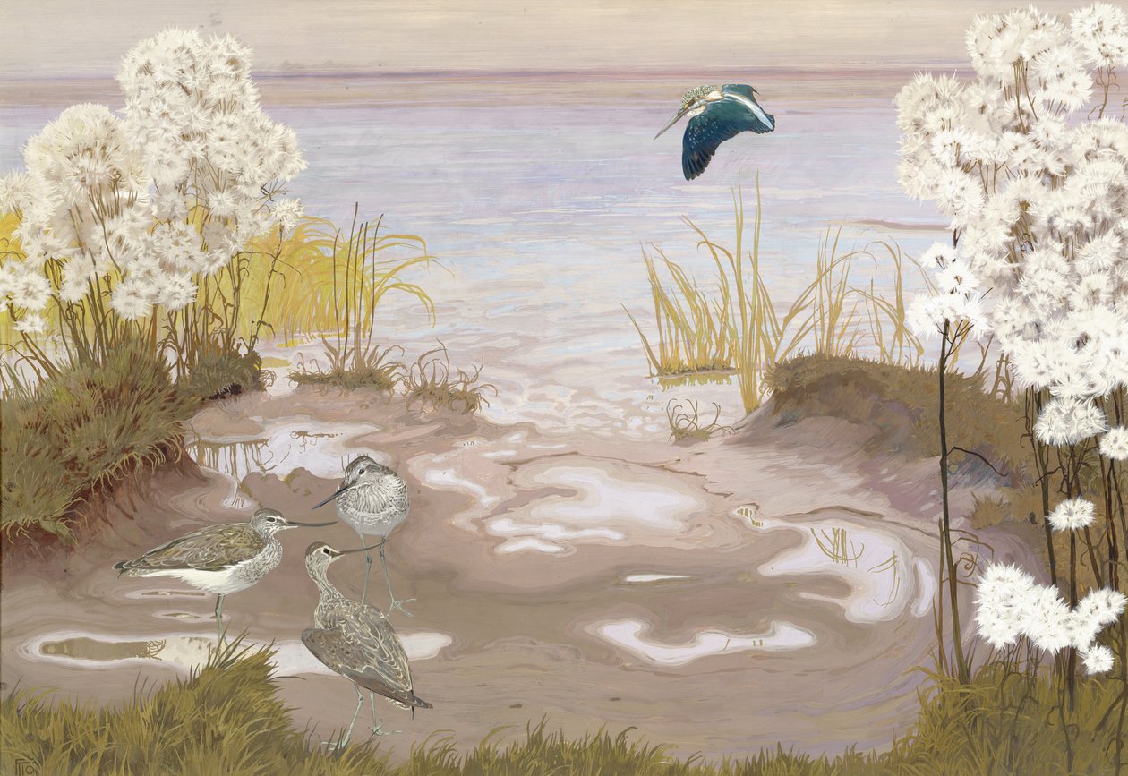 Pájaro en los bancos de lodo del Elba, 1910 de Friedrich Lissmann