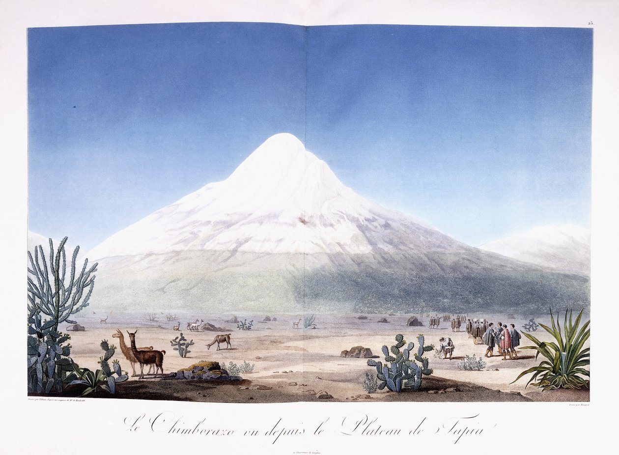 El Chimborazo visto desde el Plateau de Tapia de Friedrich Alexander Baron von (after) Humboldt