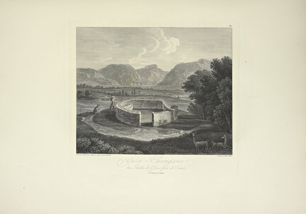 Ynca-Chungana, del Jardín del Inca cerca de Canar, dibujado por Gmelin, grabado por Morel, ilustración de 