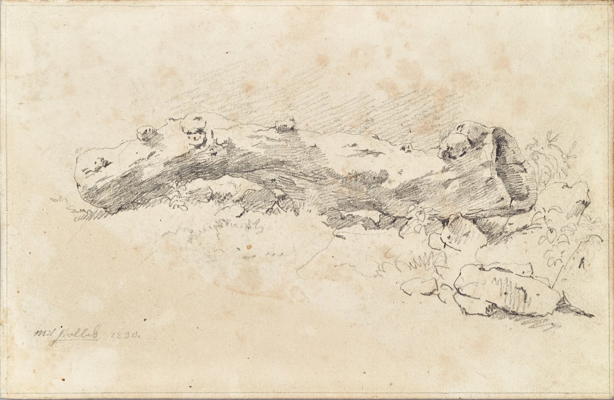 Tronco de árbol hueco de mentira de Friedrich August Mathias Gauermann