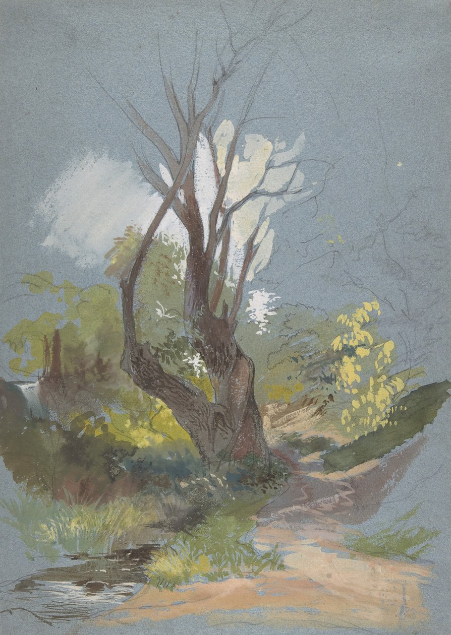 Camino de montaña con un árbol de Friedrich Nerly