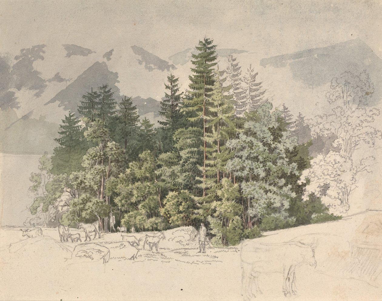 Paisaje alpino (gouache sobre grafito) de Friedrich Salathe