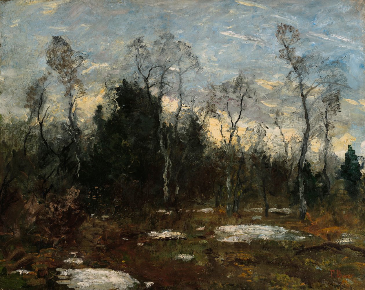 ambiente nocturno de Fritz Baer