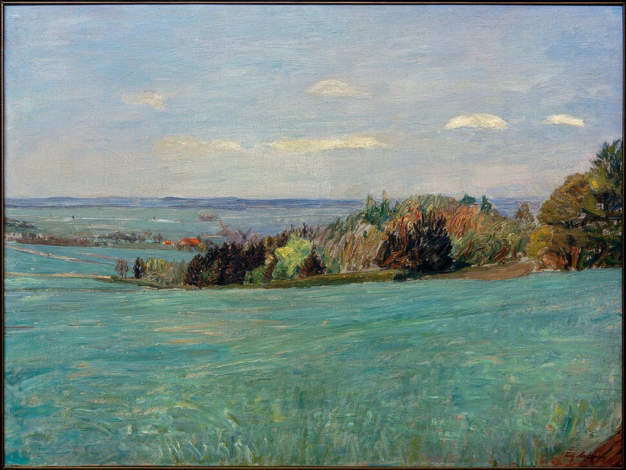 Vista desde Weyerberg de Fritz Mackensen