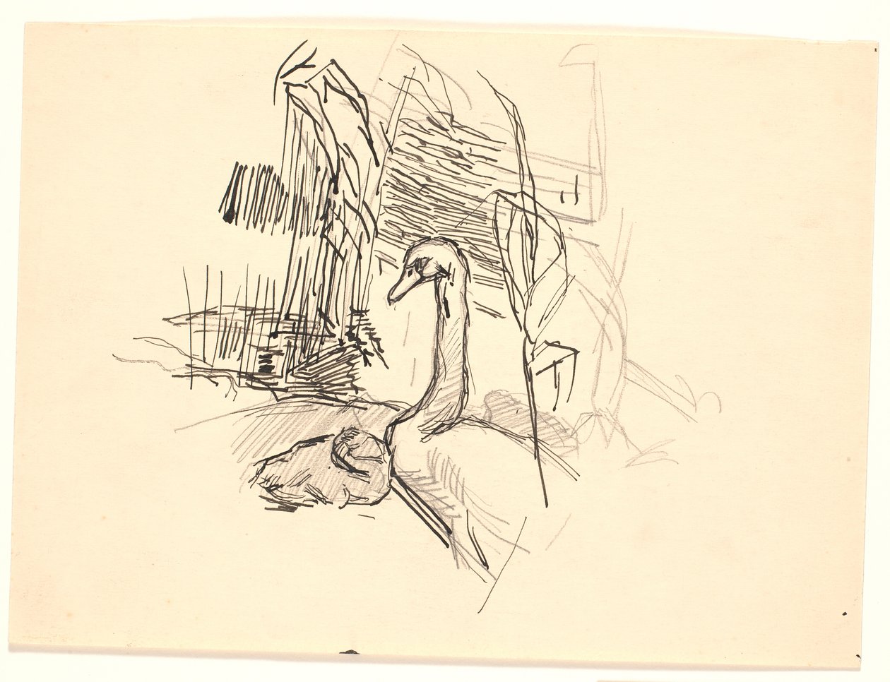 Un cisne con cría de Fritz Syberg