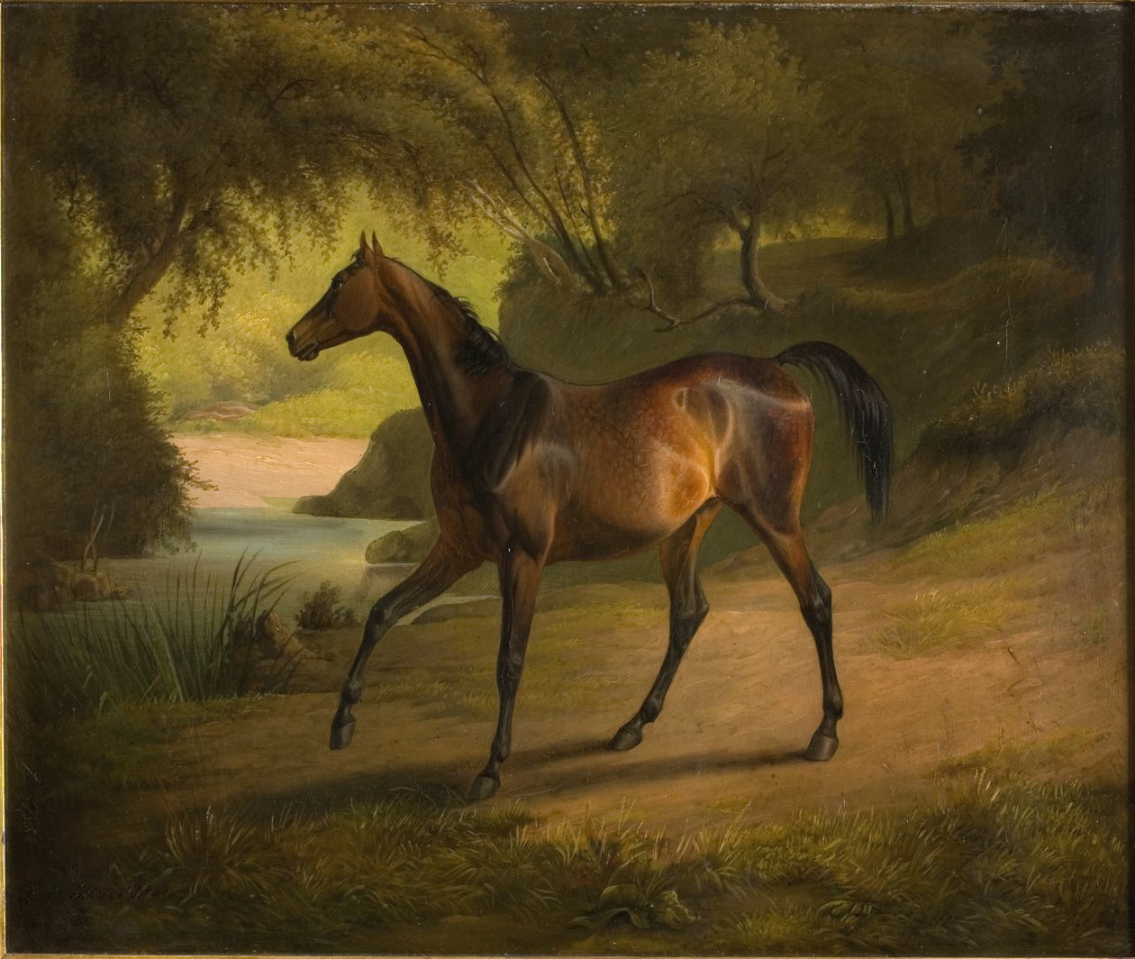 Antonia de Fritz Thomsen
