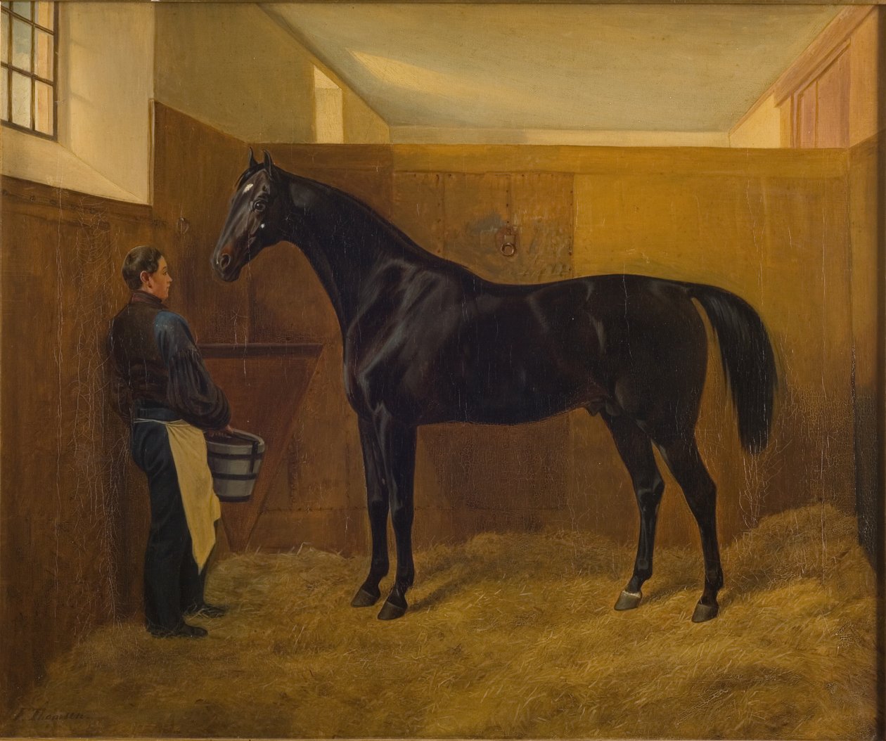 Zampa de Fritz Thomsen