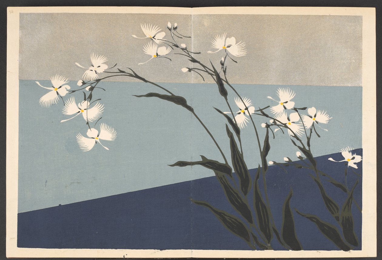 Shasei sôka môyô, Patrones de plantas y flores de la vida de Furuya Korin