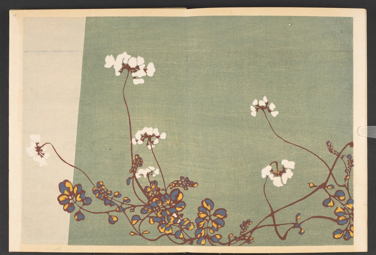 Shasei sôka môyô, Patrones de plantas y flores de la vida de Furuya Korin