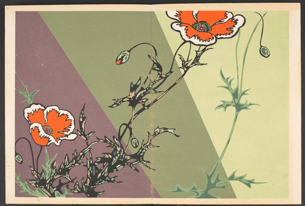 Shasei sôka môyô, Patrones de plantas y flores de la vida de Furuya Korin