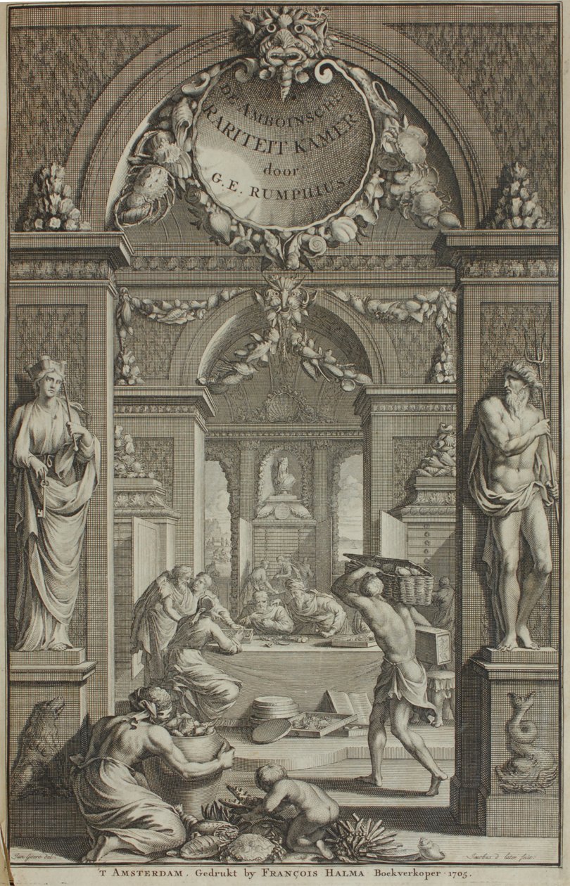 G. E. Rumphius, Amboinische Rariteikammer, Ámsterdam 1705 de G. E. Rumphius