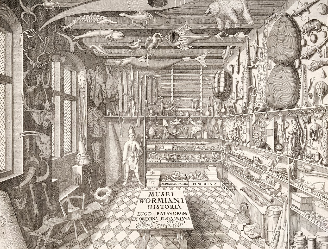 Museo de Ole Worm, Leiden, 1655 de G. Wingendorp