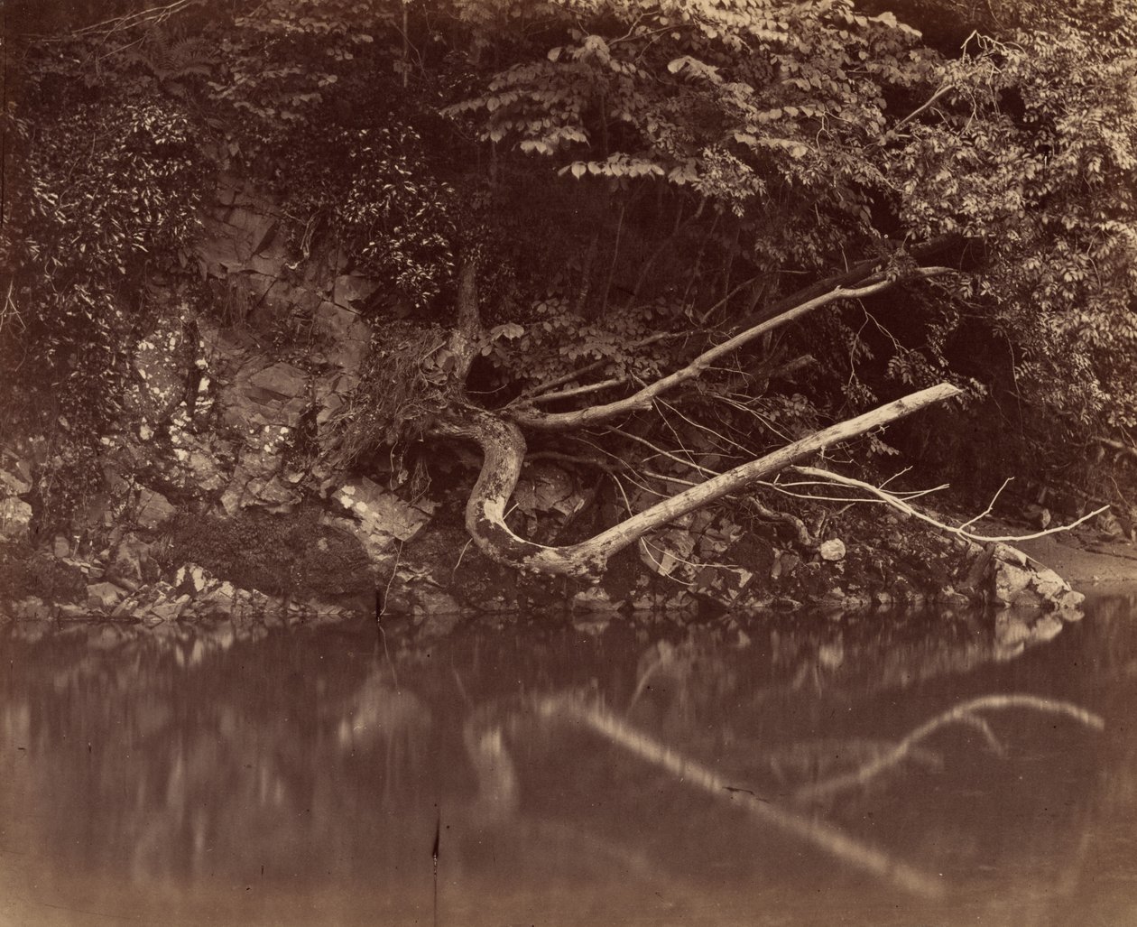 Ribera del río en el Valle de Neath,c. 1855 (foto) de G.B. Gething