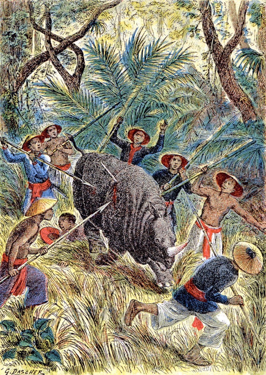 Caza de rinocerontes, Indochina francesa, c.1900 (ilustración) de G. Dascher
