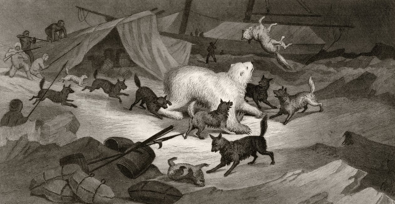 Caza de osos, grabado por J.C. McRea, de 