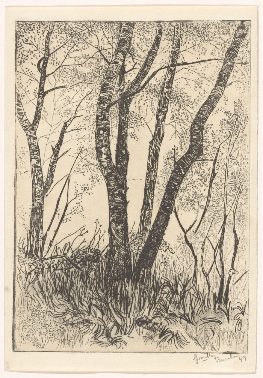 Árboles en la hierba alta de G. van der Mey (signed by artist)