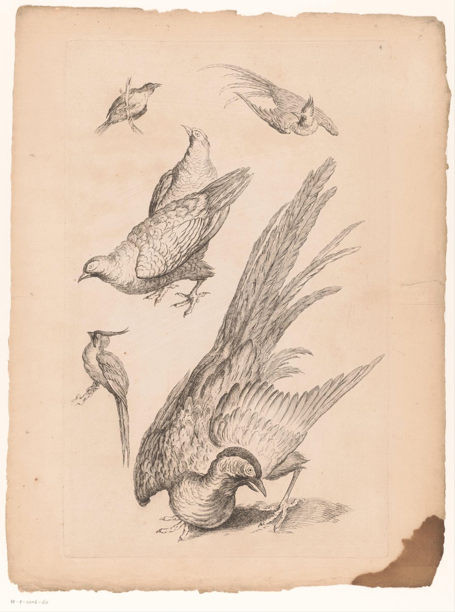 Vogeles chinos Zes Verschillende Chinese vogels (título de la serie) Libro de diferentes especies de aves de China (título de la serie) de Gabriel Huquier (attributed to)