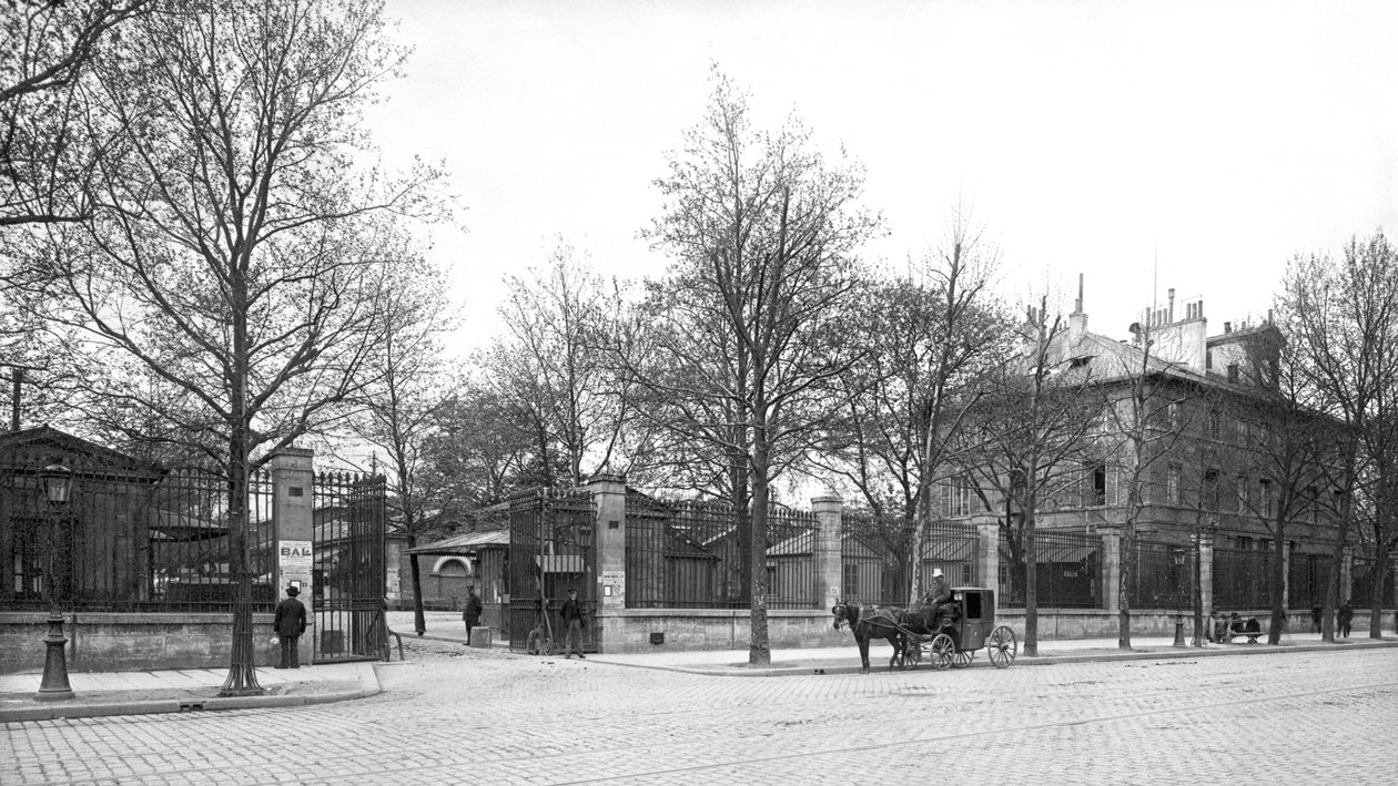Entrada a 