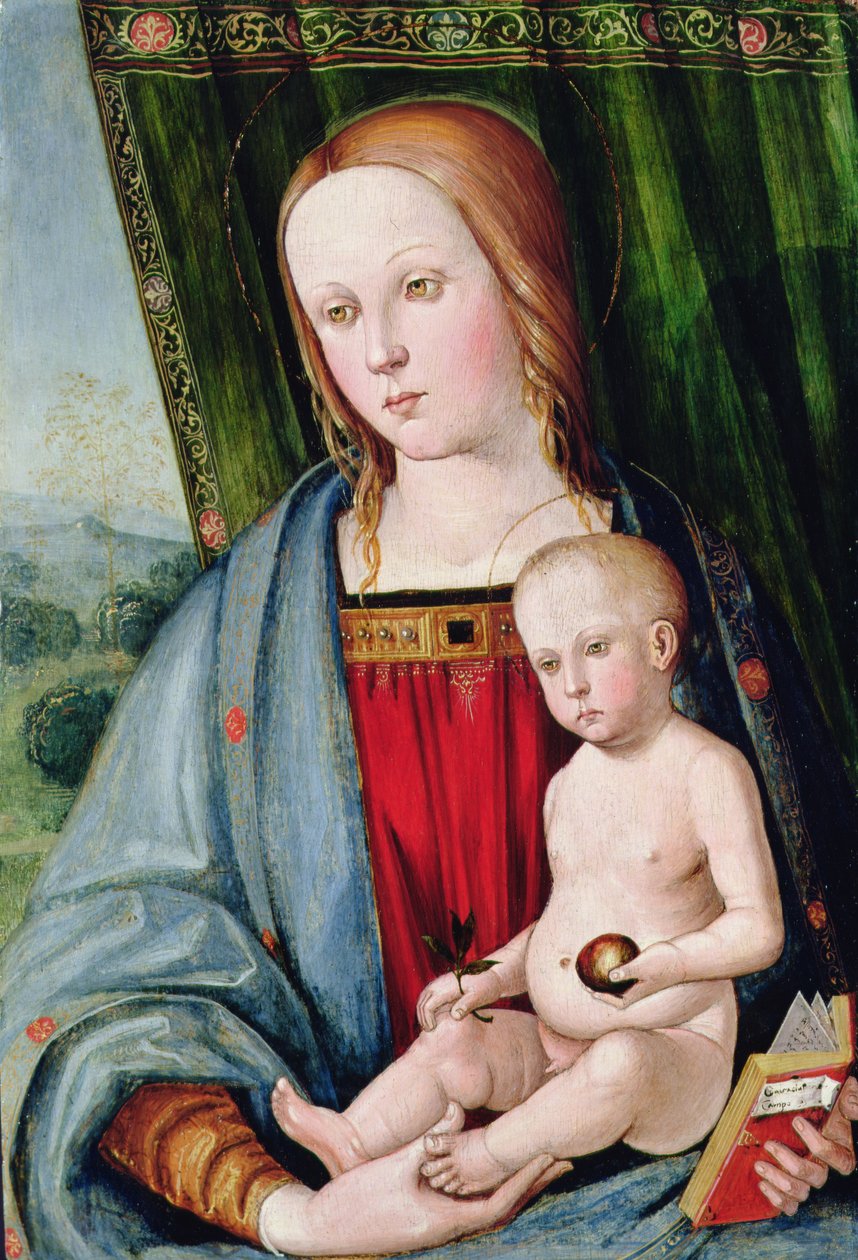 Virgen y Niño, después de 1494 de Galeazzo Campi