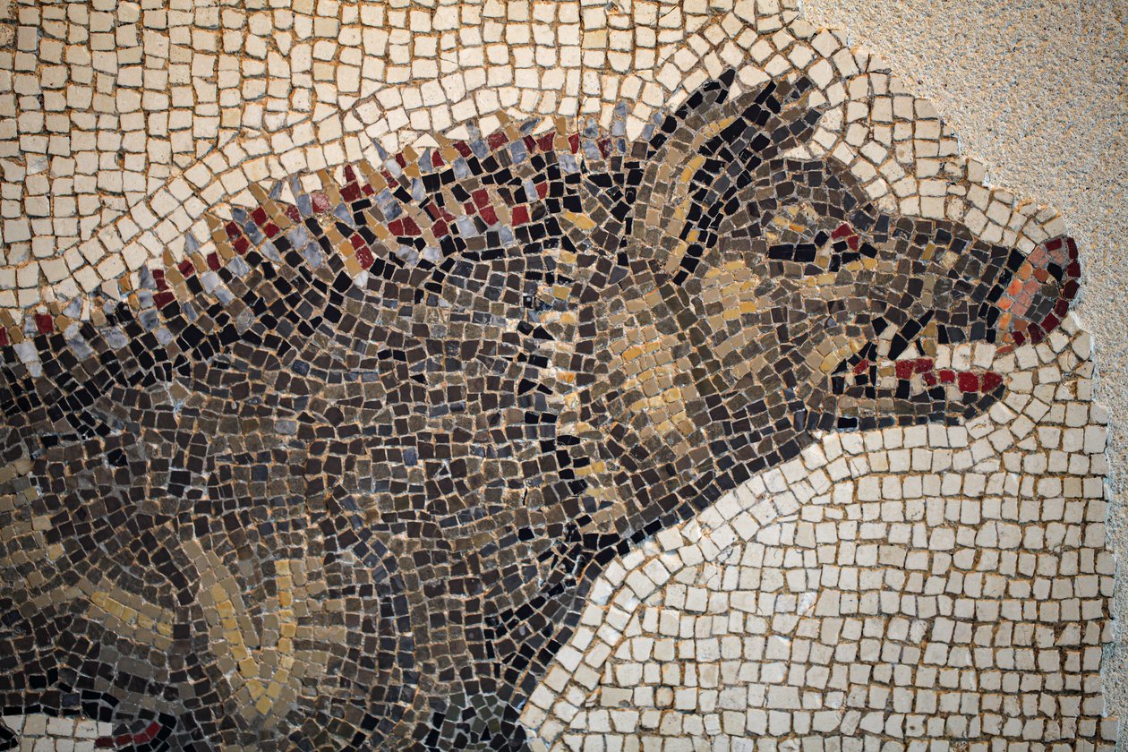 Mosaico romano de Gallo-Roman
