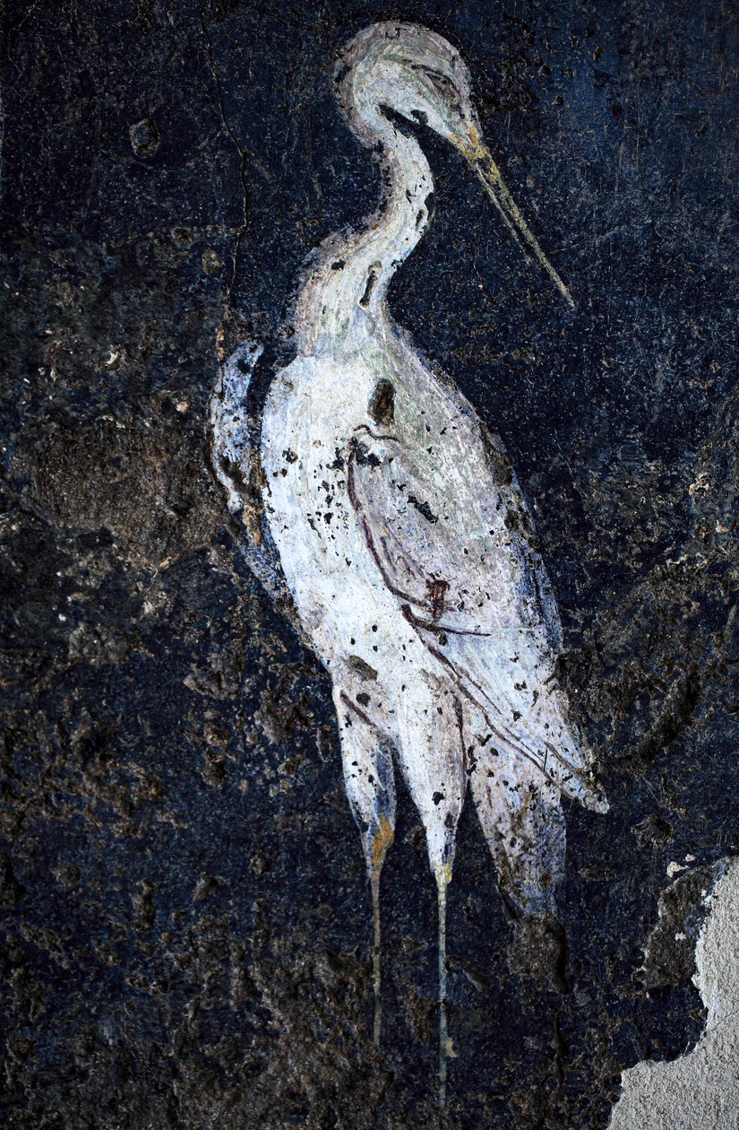 Pintura mural romana de Gallo-Roman